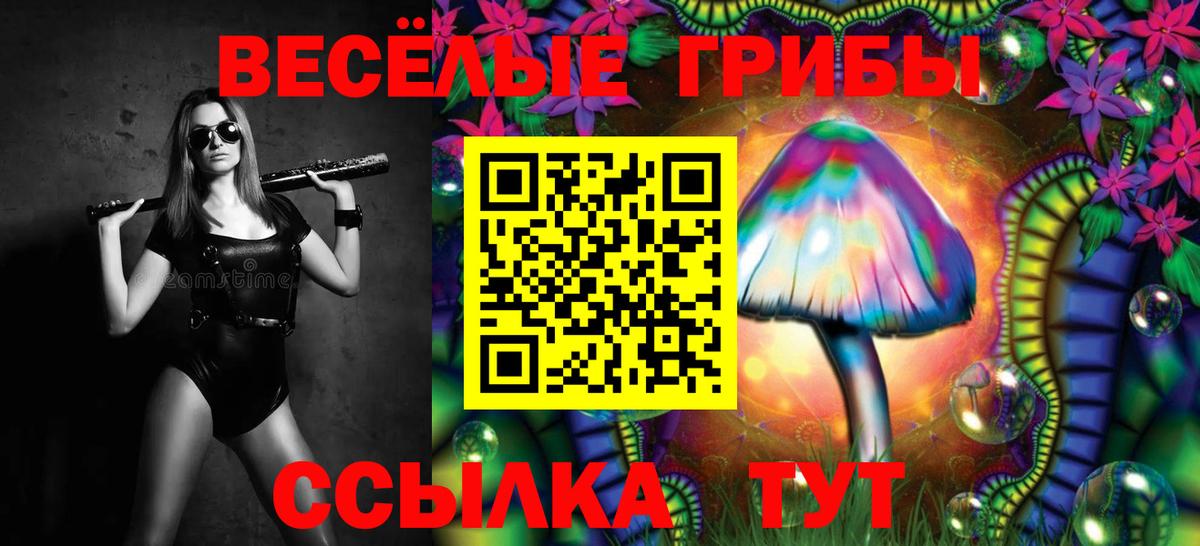 Мелеуз  где можно купить наркотик  Вход с VPN  Псилоцибиновые грибы ЛСД  Галлюциногенные грибы GOLDEN TEACHER 